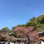 福岡の穴場お宿「膳・お宿 西亭」