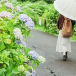 これは雨のせい、湿気のせい、恋のせい。