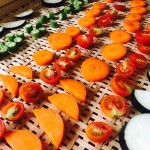 君の野菜を干したい。