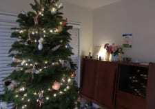 第22回 LAからハッピークリスマス!!!