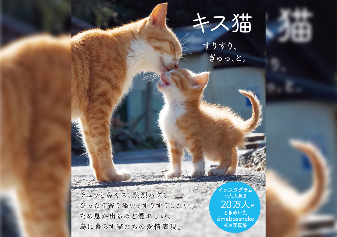 キス猫 すりすり ぎゅっ と で ラブラブな猫たちの姿に癒やされたい Wani Bookout ワニブックスのwebマガジン ワニブックアウト