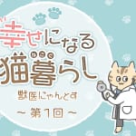 【猫の気持ち】猫が「頭突き」してくる！その心理と覚えておきたい意味