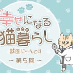 【猫の気持ち】猫がお風呂やトイレについてくる！ ストーカー行為の理由は？