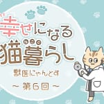 【獣医師が推奨】猫が喜ぶトイレ環境は？　おすすめの猫砂＆猫トイレ