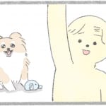 【犬漫画】○○する人｜うちのむっくはいつも楽しそう（３）