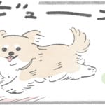【犬漫画】ドッグランにて｜うちのむっくはいつも楽しそう（４）