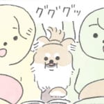 【犬漫画】ある夜｜うちのむっくはいつも楽しそう（５）