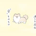 【犬漫画】うちのむっくはいつもかわいい｜うちのむっくはいつも楽しそう（６）