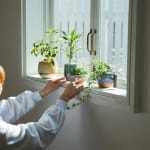 【初心者におすすめの観葉植物】今こそ“緑のある素敵な暮らし”をはじめよう！