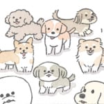 【犬漫画】むっくとお話｜うちのむっくはいつも楽しそう（14）