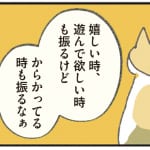 【猫の気持ちクイズ３】猫が喜んでいる時のしっぽの動きは？