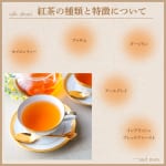 #138【英国紅茶研究家 斉藤由美さん】紅茶の種類と特徴について