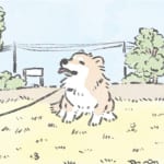 【犬漫画】うちのむっくはいつもかわいい２｜うちのむっくはいつも楽しそう（24）