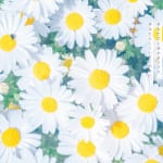 【18万が共感！】人気恋愛心理カウンセラー・ひでまるさんによる待望の初詩集