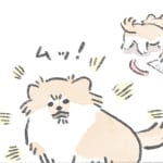 【犬漫画】分かるようになったこと｜うちのむっくはいつも楽しそう（25）