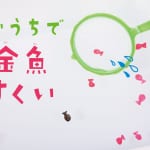 【Amazonランキング１位！】夏はおうちで「理系知育あそび」を親子で楽しもう♪