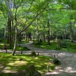 #164【東京大学名誉教授　矢作直樹先生】自然の中に身を置いて、過ごすことについて