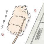 【犬漫画】かわいすぎる生命体｜うちのむっくはいつも楽しそう（27）
