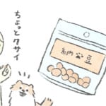 【犬漫画】納豆といぬ｜うちのむっくはいつも楽しそう（31）