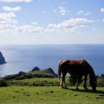 ひとり“でも”ではなく、ひとり“だから”行きたい旅がある。