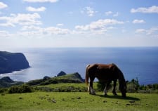 ひとり“でも”ではなく、ひとり“だから”行きたい旅がある。