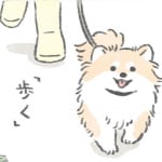 【犬漫画】最近のおさんぽ｜うちのむっくはいつも楽しそう（35）