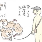 【犬漫画】よくまわるいぬ｜うちのむっくはいつも楽しそう（36）