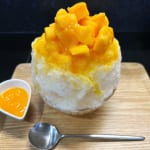 今年の夏も欠かせない！ ふわふわかき氷　新宿【ノエル】