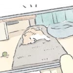 【犬漫画】察知能力｜うちのむっくはいつも楽しそう（38）