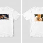 【お知らせ】『キス猫　すりすり、ぎゅっ、と。』『島にゃんこ』オリジナルTシャツの販売が開始！