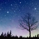 【星占い】2026年春夏の12星座別のアドバイス＆ラッキーアクション