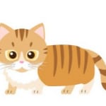 【新連載】猫好き星占い師が読み解く！　12星座の基本的性格＆チャームポイントを伝授