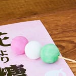 【夏休みの自由工作におすすめ】リアルすぎる３色団子型マグネットの作り方