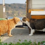 12星座別【コイバナ企画第２弾】デートスポット＆脈アリな誘い方とは？　気になる相手とキラキラな思い出を