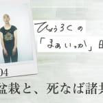 盆栽と、死なば諸共