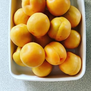 杏仕事 Wani Bookout ワニブックスのwebマガジン ワニブックアウト